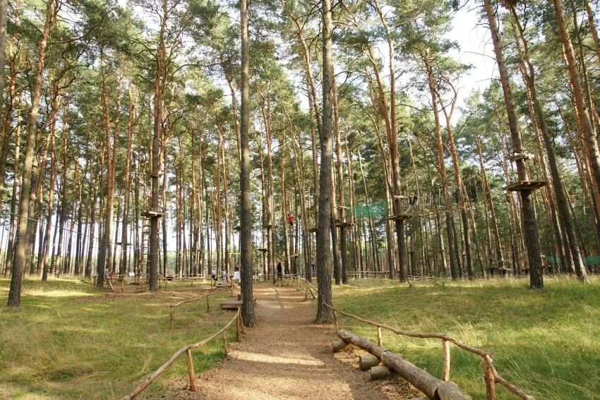 parcours accrobranche extérieur