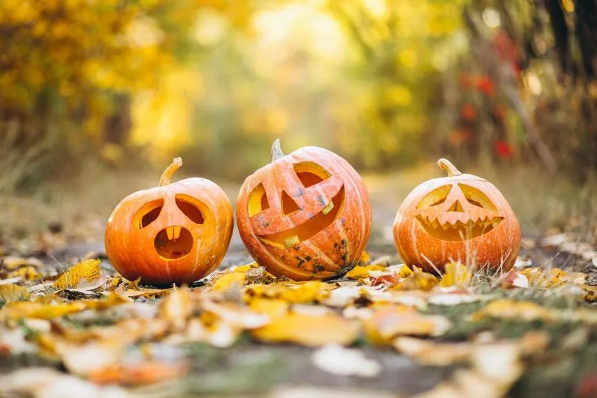 des citrouilles en forme de tête