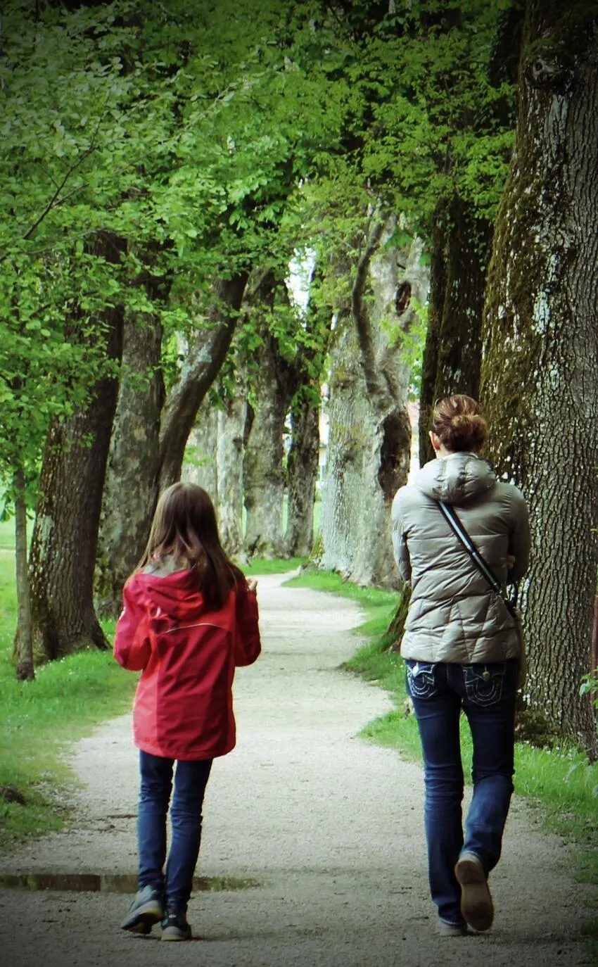  une famille se promène en forêt